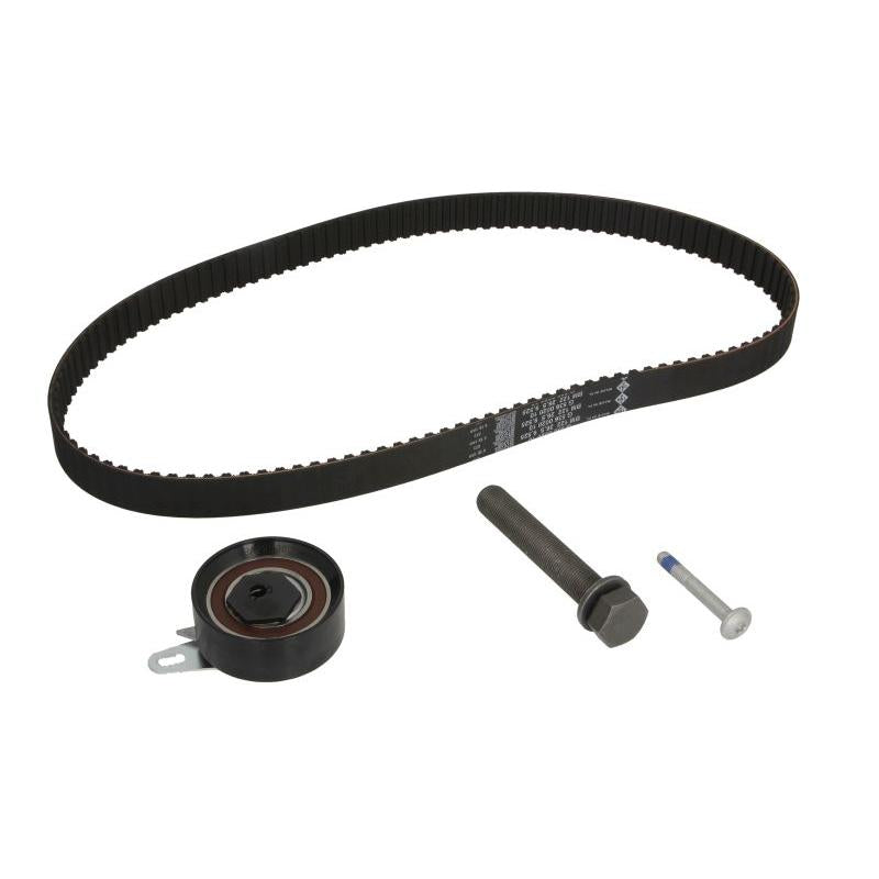 INA 530017310 Timing Belt Set