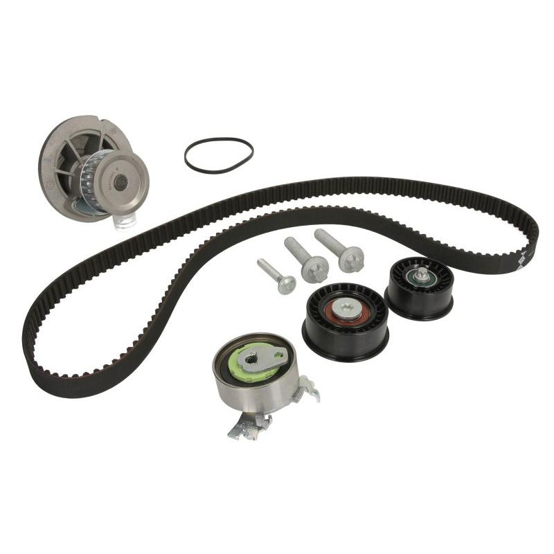 INA 530044130 Water Pump & Timing Belt Kit