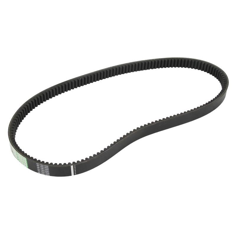 OPTIBELT 1001000AP V-Belt