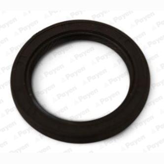 PAYEN NA5448 Camshaft Shaft Seal