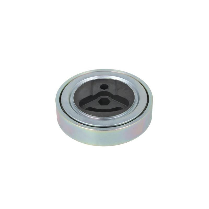 INA 531089910 V-Ribbed Belt Tensioner Pulley