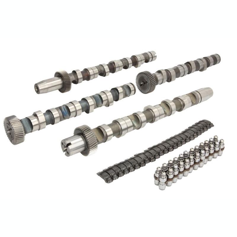 INA 428003830 Camshaft Kit