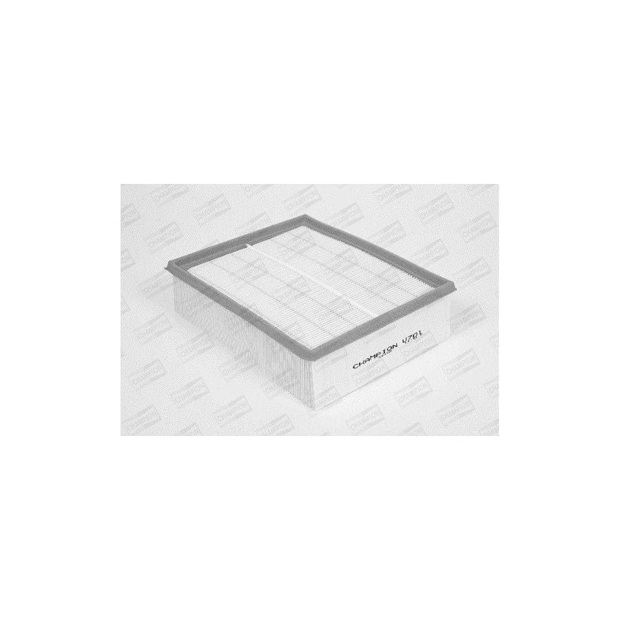 Champion U701/606 Air Filter