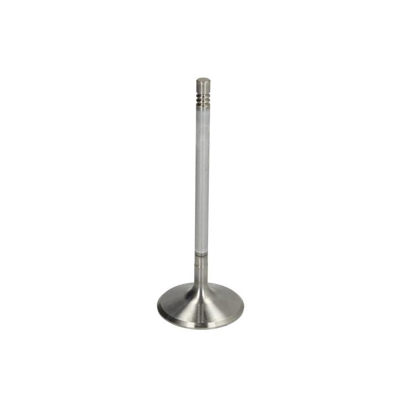 MAHLE 001VE31376000 Intake Valve