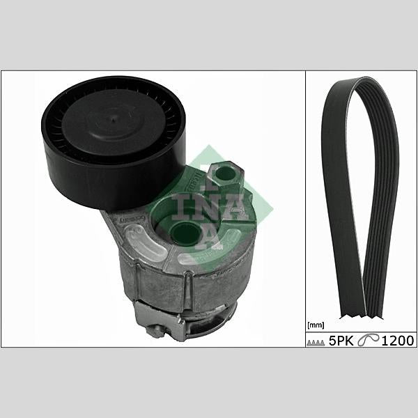 INA 529001510 V-Ribbed Belt Set