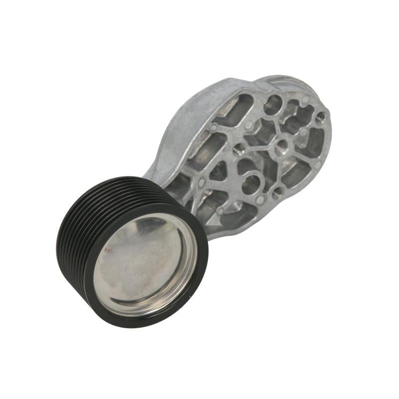 SKF VKMCV53010 V-Ribbed Belt Deflection/Guide Pulley