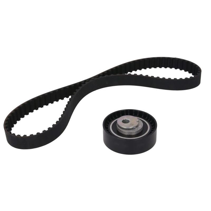 INA 530014210 Timing Belt Set