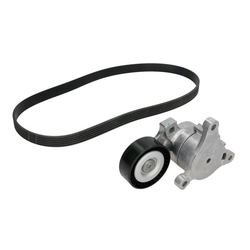 INA 529021410 V-Ribbed Belt Set