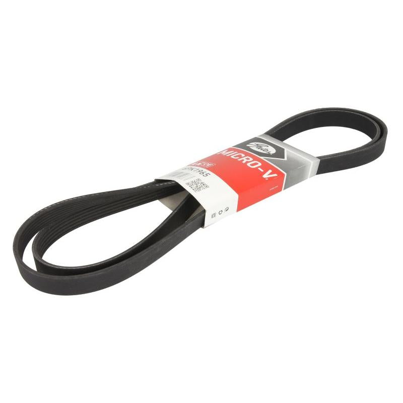 GATES GAT6PK1965 V-Ribbed Belt