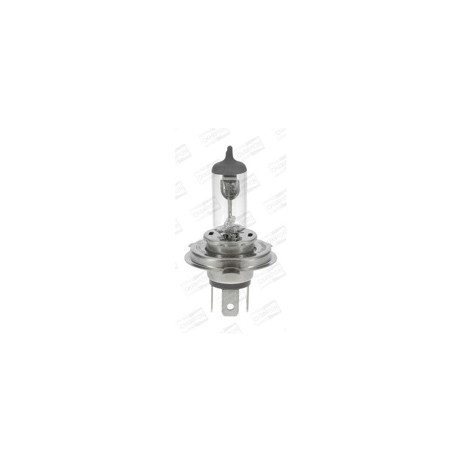 Champion Version 50 Cbh88F Bulb, Spotlight