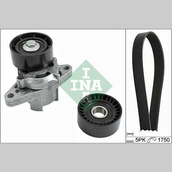 INA 529008210 V-Ribbed Belt Set