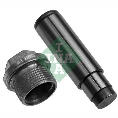 INA 551002110 Timing Chain Tensioner
