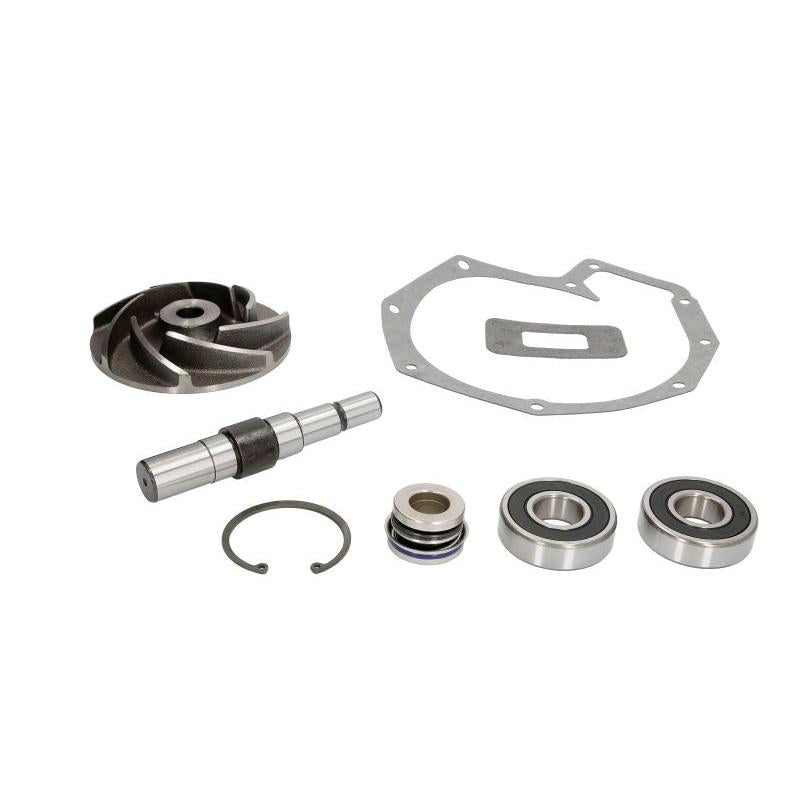 THERMOTEC WP-DF101RK Water Pump Repair Kit
