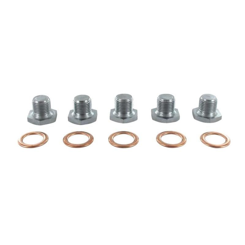VAICO V42-0259 Oil Sump Gasket