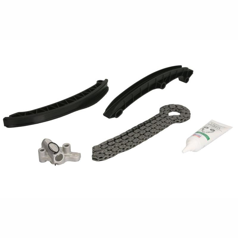 INA 559015410 Timing Chain Kit