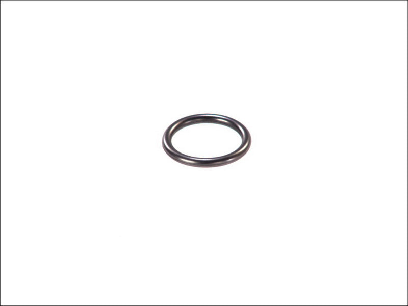 BOSCH 081-WYC Injector Seal Ring
