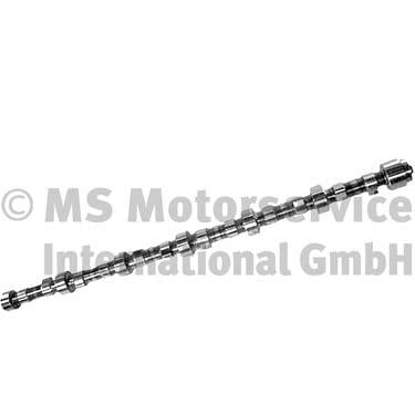 BF 20100410200 Camshaft