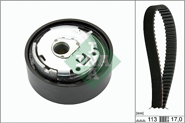INA 530066310 Timing Belt Set