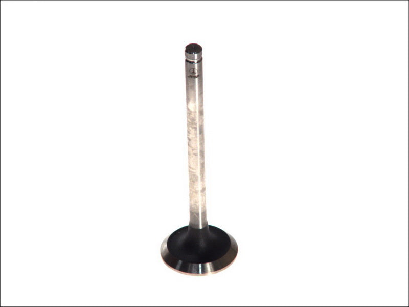 PARADOWSCY POPE020 Exhaust Valve