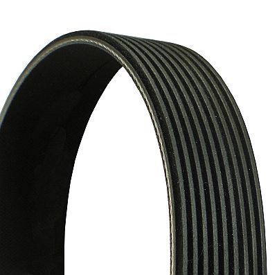 CONTITECH 9PK1780 V-Ribbed Belt