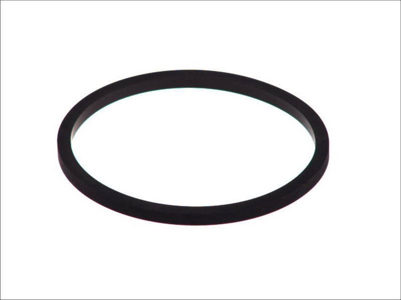 LEMA LE24279.10 Water Pump Gasket