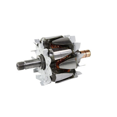 Mahle MGX877 - Rotor, alternator