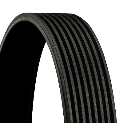 CONTITECH 8PK1570 V-Ribbed Belt