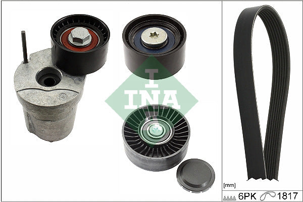 INA 529036810 V-Ribbed Belt Set