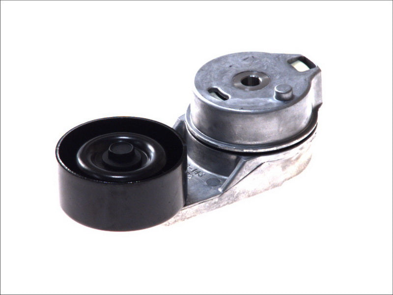 SKF VKM31066 V-Ribbed Belt Tensioner Pulley