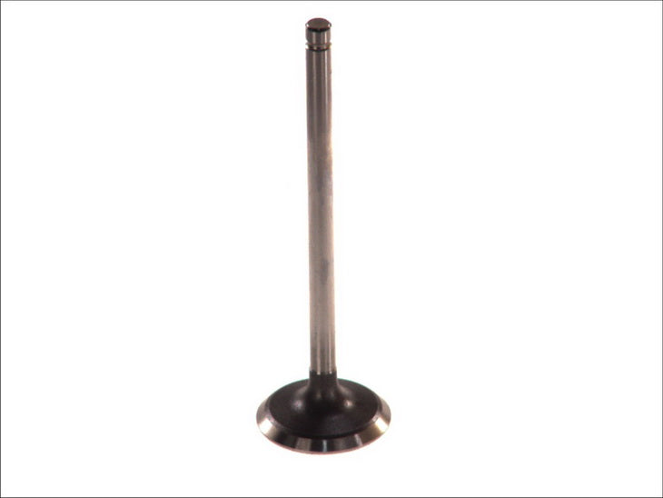 PARADOWSCY PDAE005 Intake Valve