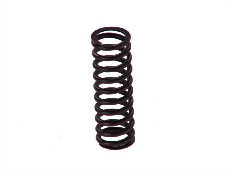 BOSCH 2-444-618-006 Spring