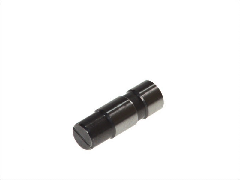 INA 551000610 Timing Chain Tensioner