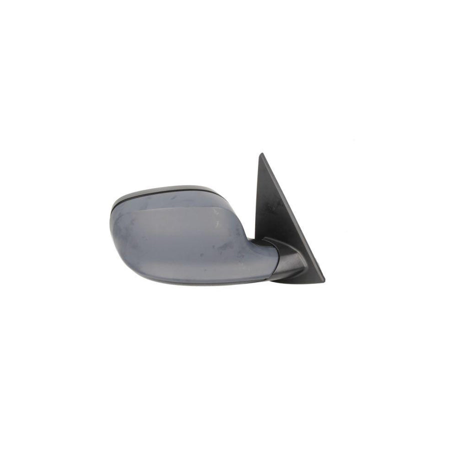 Blic 5402-05-027360P Wing Mirror For BMW X1 (E84)