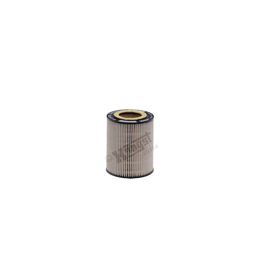 Hengst Filter E412Kp02 D55 Fuel Filter