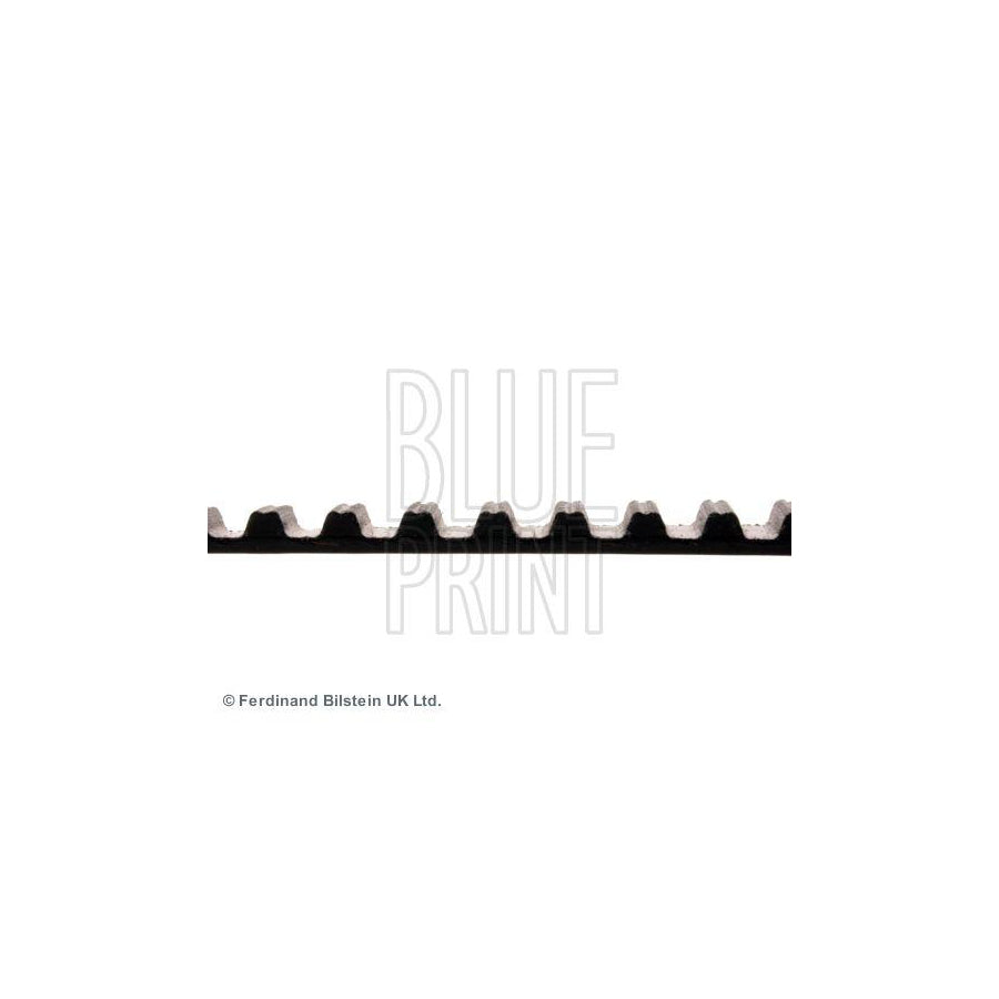 Blue Print ADM57529 Timing Belt