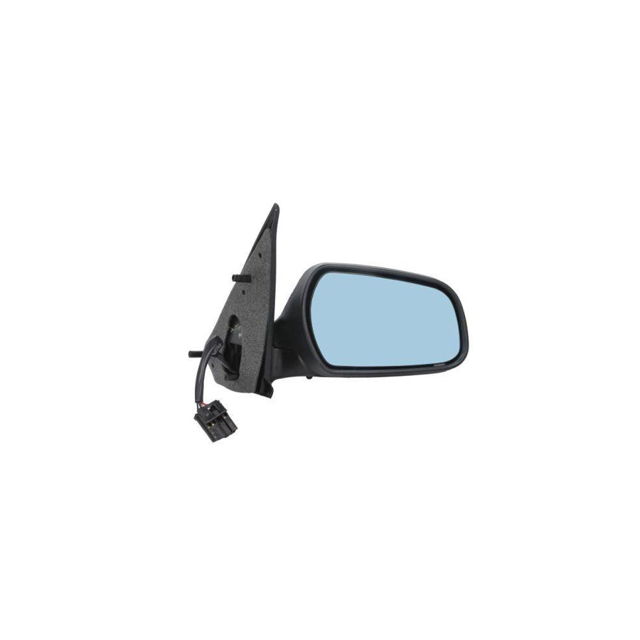 Blic 5402-04-1131313 Wing Mirror For Citroen Xsara