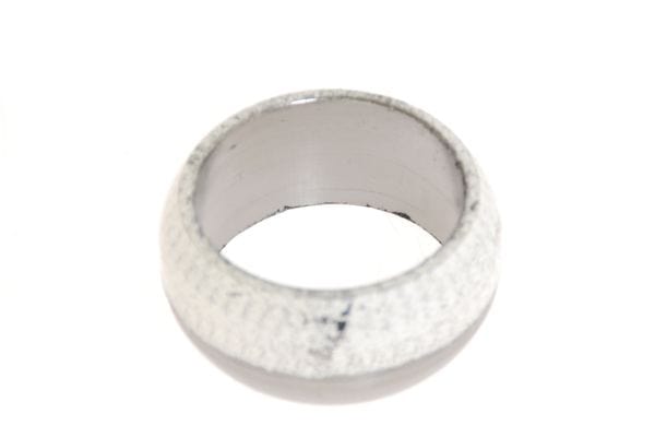 Aston Martin 4G43-17213-BA Rear Box Sealing ring | ML Performance UK Car Parts