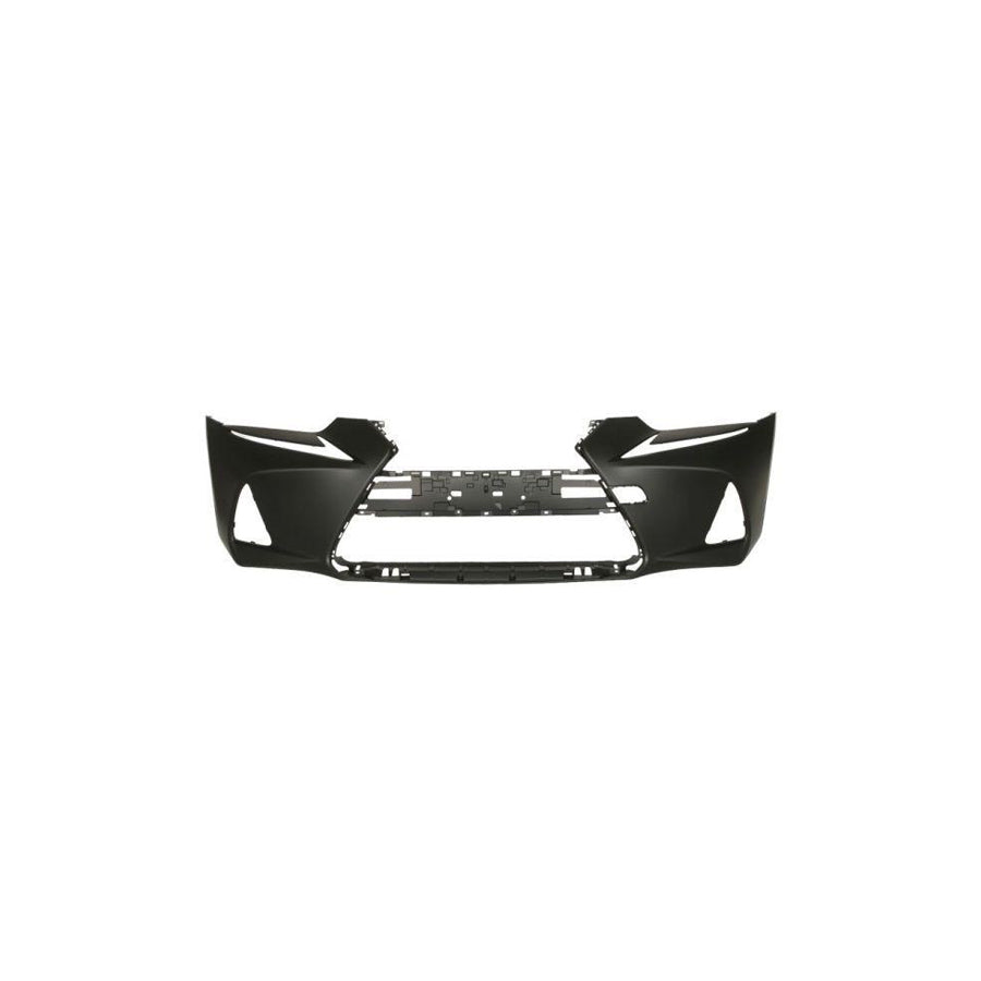 Blic 5510-00-8173905P Bumper