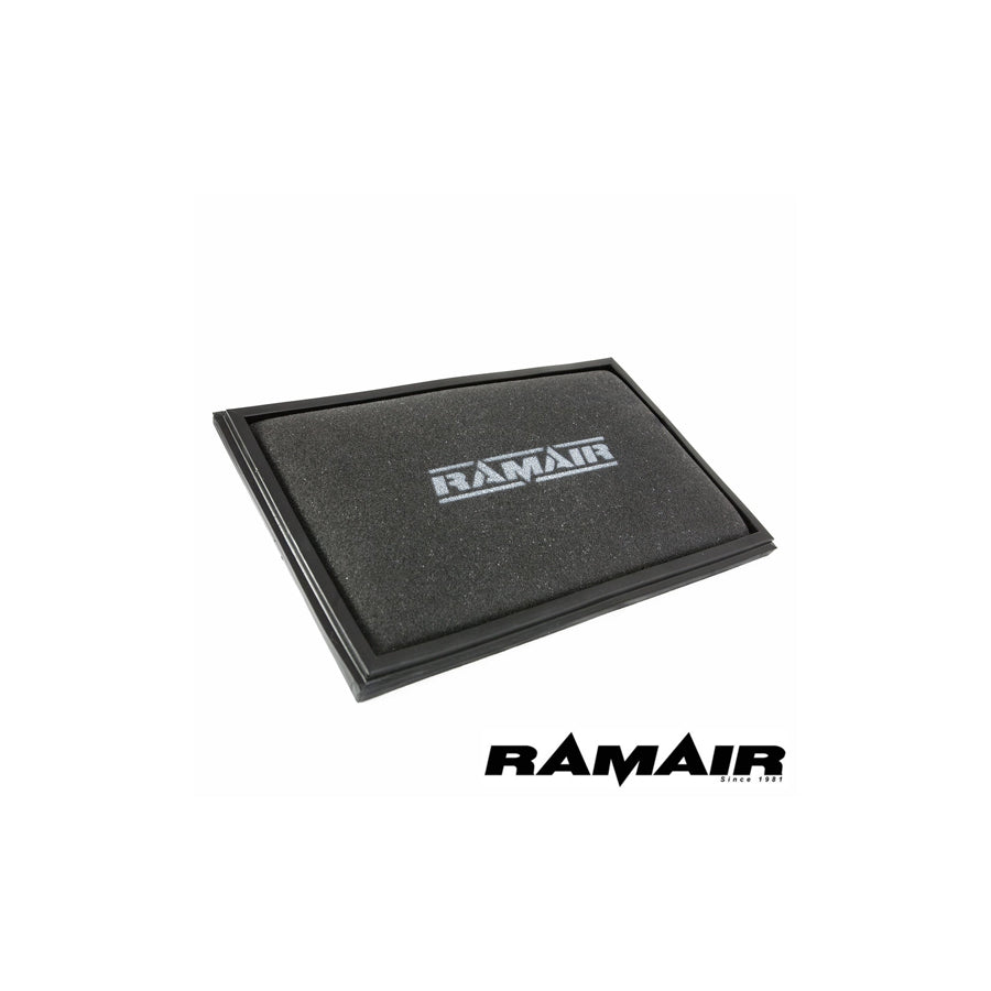 RAMAIR RPF-1970 VOLKSWAGEN TRANSPORTER/BUS (T5) 2 (05/03 -) PANEL FILTERS | ML Performance UK Car Parts