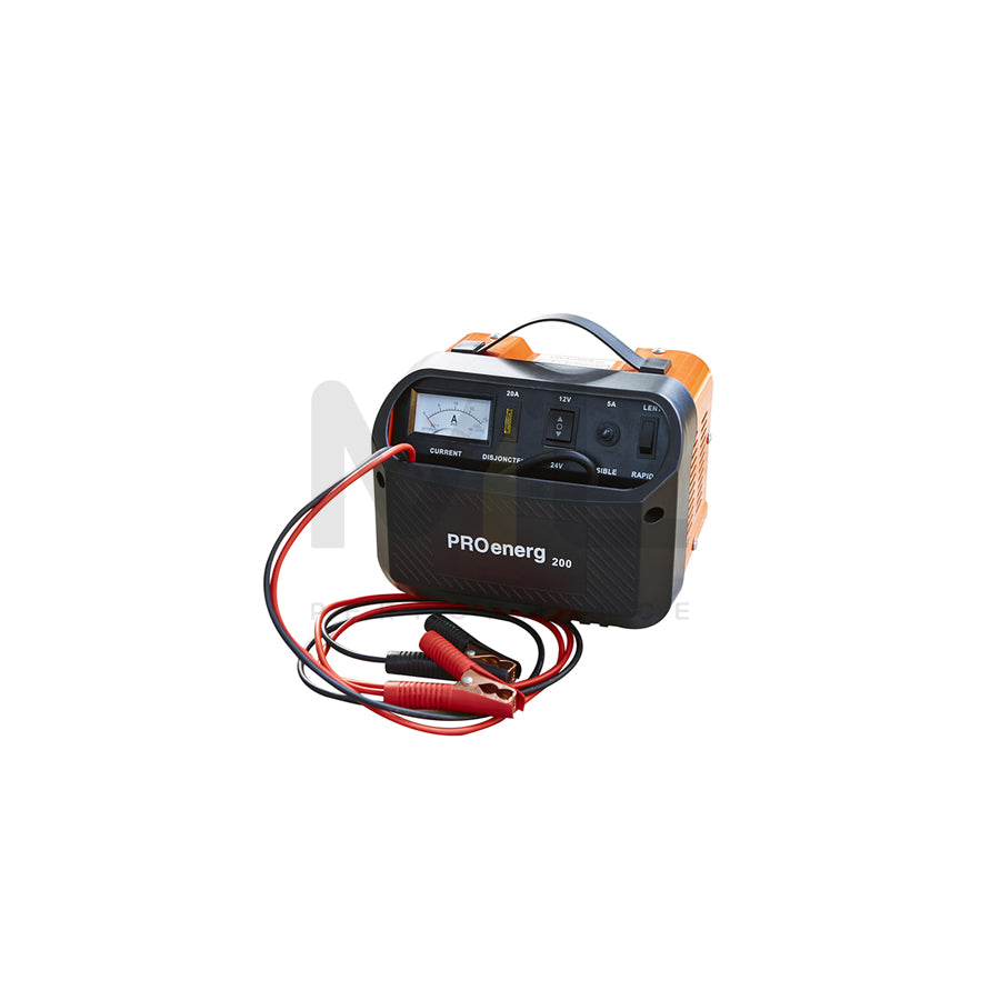 PROENERG 206 Battery Charger 12A, 12, 24V ML Performance