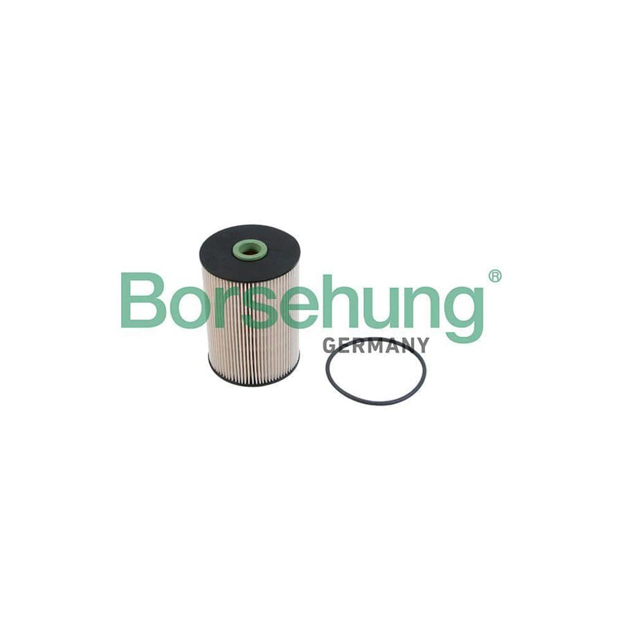 Borsehung B12214 Fuel Filter