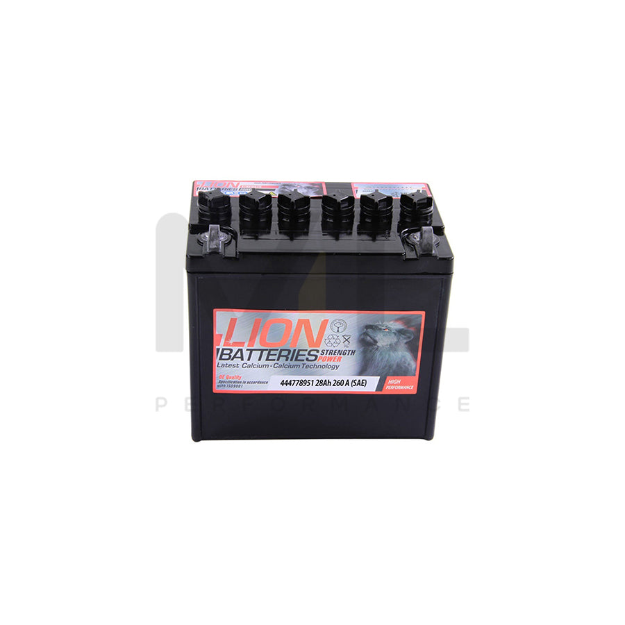 Lion 895 leisure / garden Machinery battery | ML Performance UK Car Parts