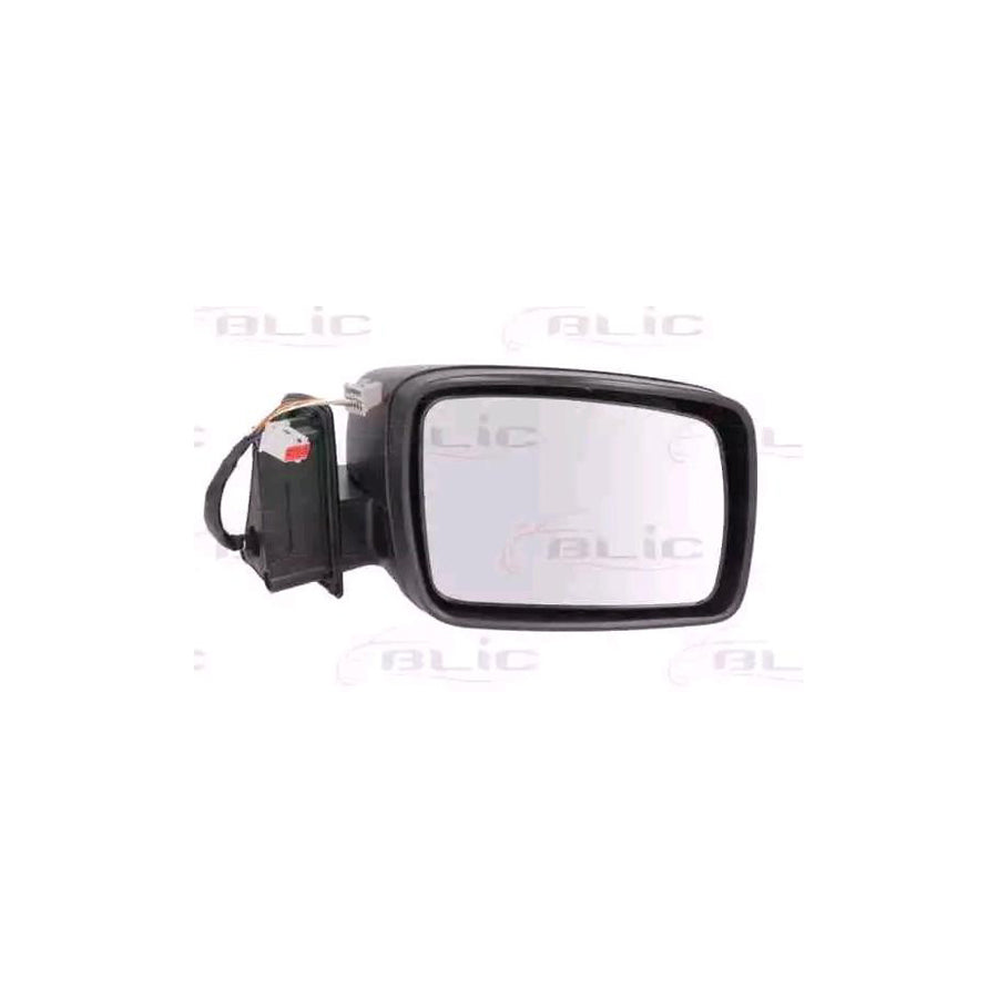 Blic 5402-57-2001616P Wing Mirror For Land Rover Discovery III (L319)