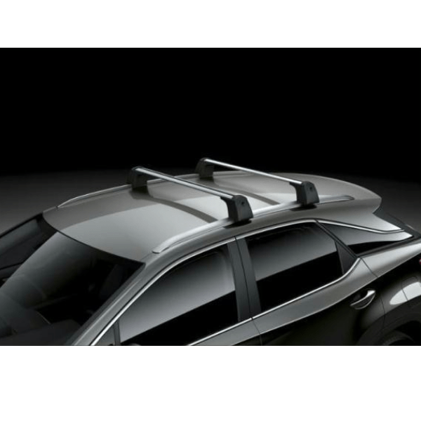 Lexus rx clearance cross bars