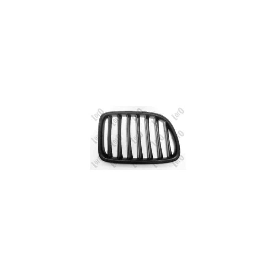 Abakus 00430404 Radiator Grille For Bmw X1 (E84) | ML Performance UK