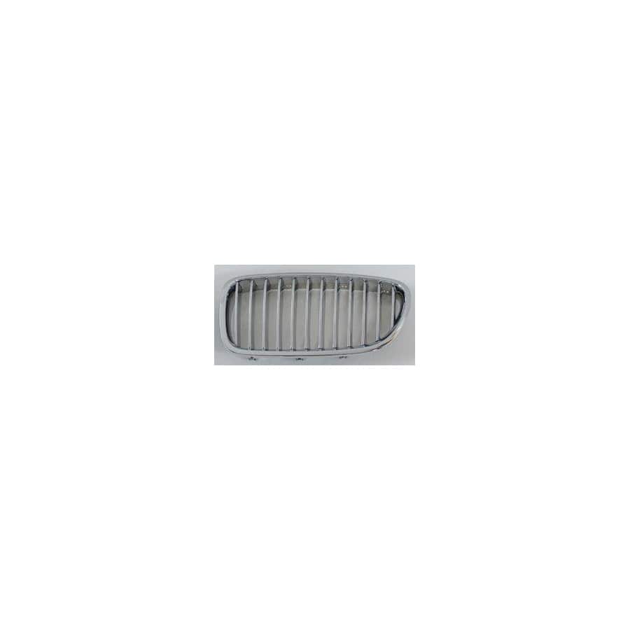 Abakus 00431485 Radiator Grille For Bmw 5 Saloon (F10) | ML Performance UK