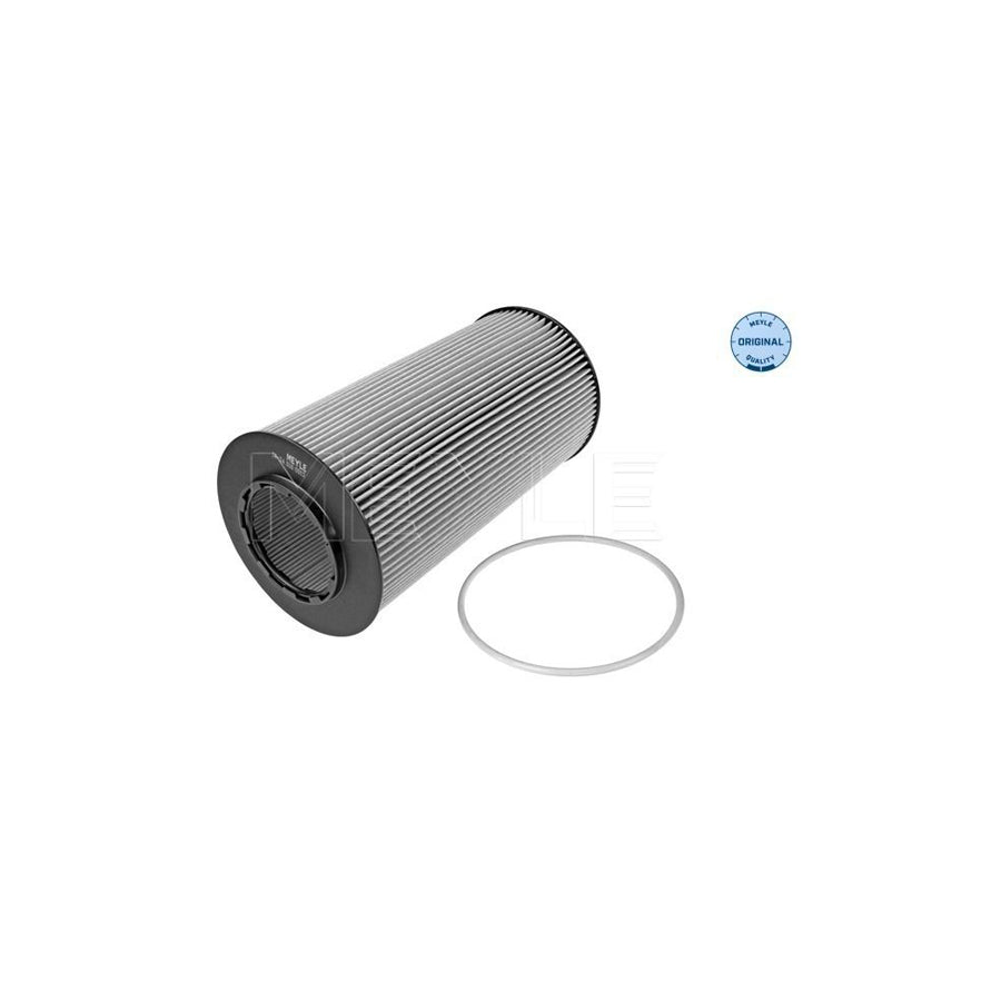 Meyle 14-34 018 0013 Oil Filter