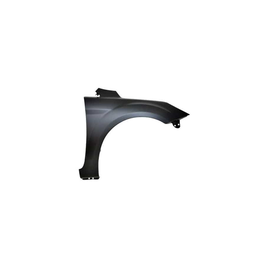 Abakus 01713202 Wing Fender For Ford Focus | ML Performance UK