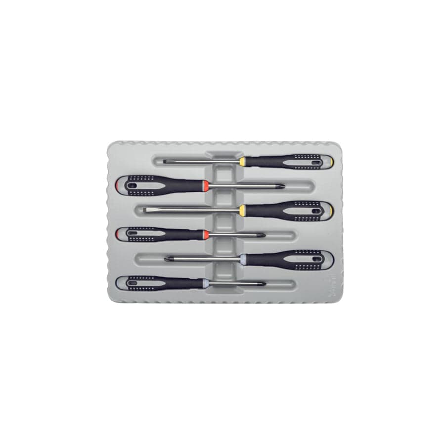Bahco BAHBE9884 BE-9884 ERGO Screwdriver Set, 6 Piece | ML Performance UK