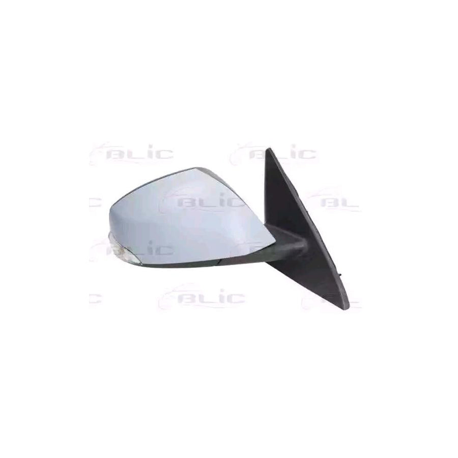 Blic 5402-09-2002178P Wing Mirror For Renault Latitude